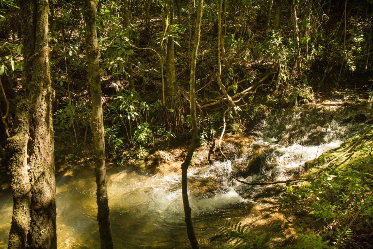 Lodge Raizando Ecologia Humana