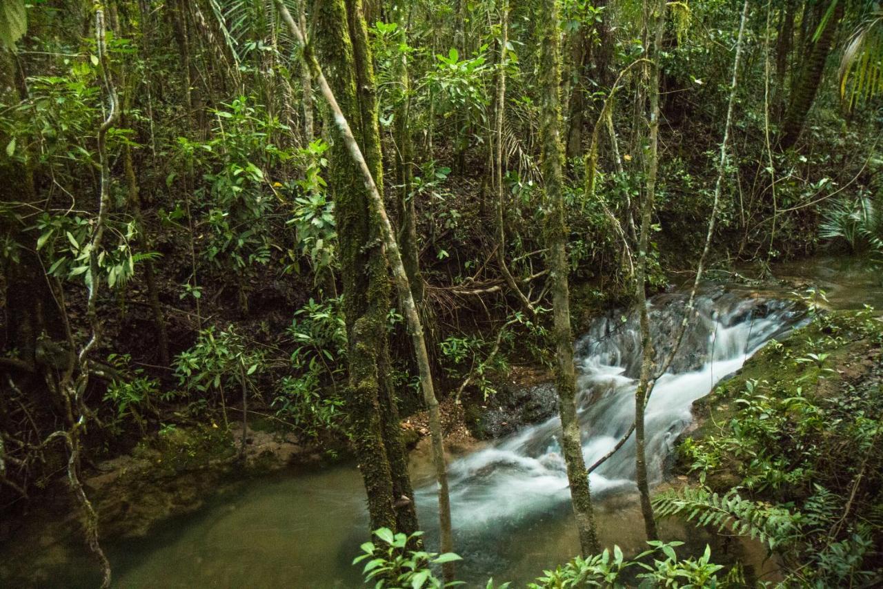 Lodge Raizando Ecologia Humana