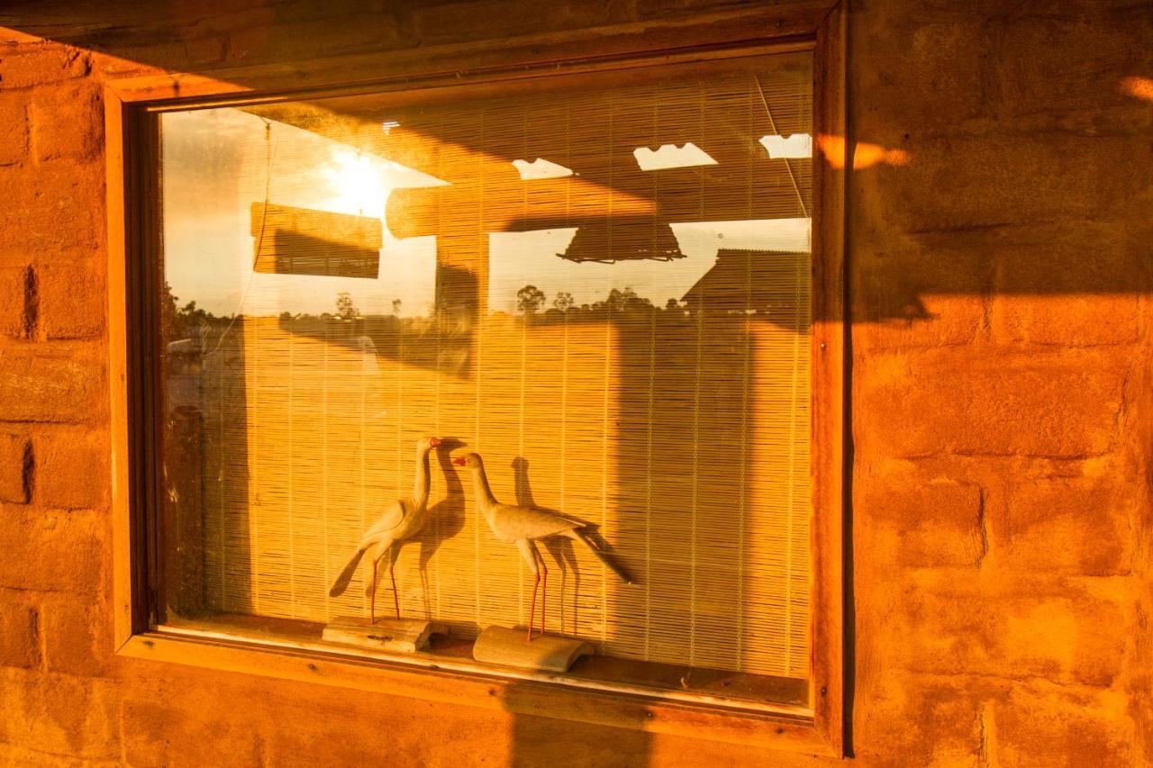 Lodge Raizando Ecologia Humana
