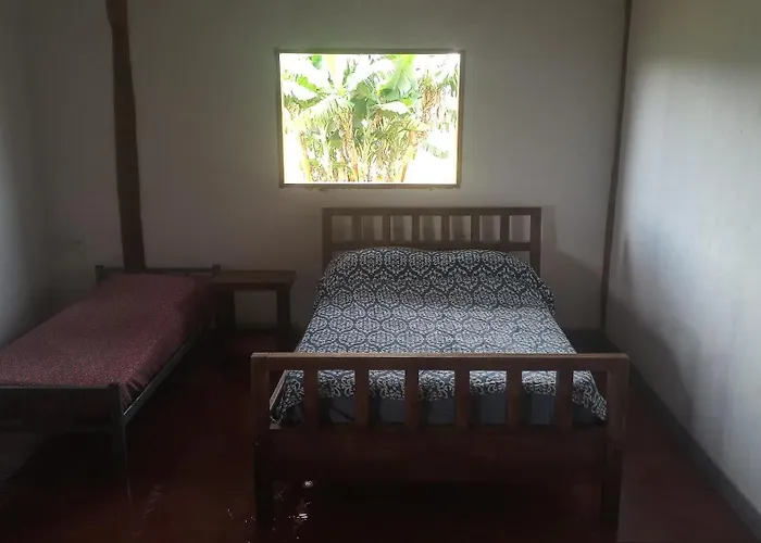 Raizando Ecologia Humana