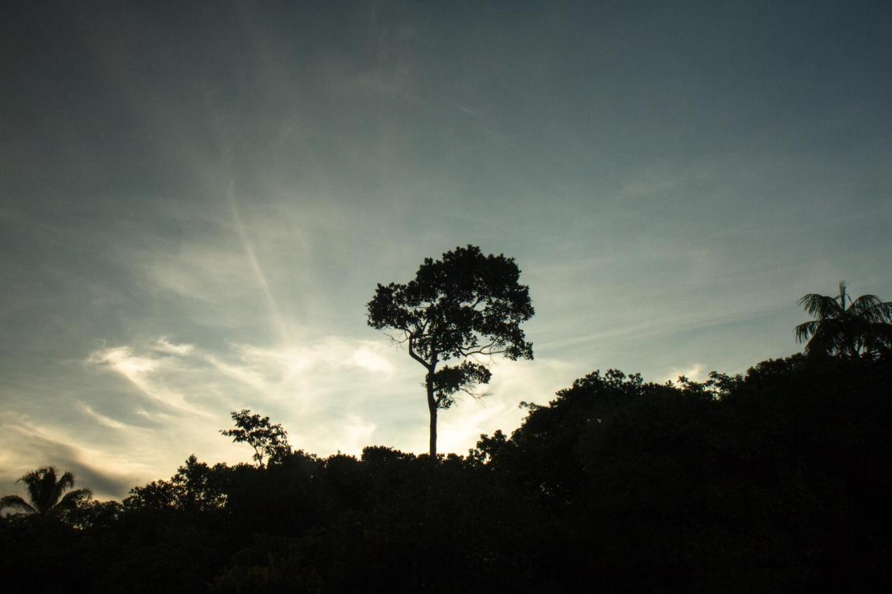 Alojamento de Turismo Selvagem Raizando Ecologia Humana *